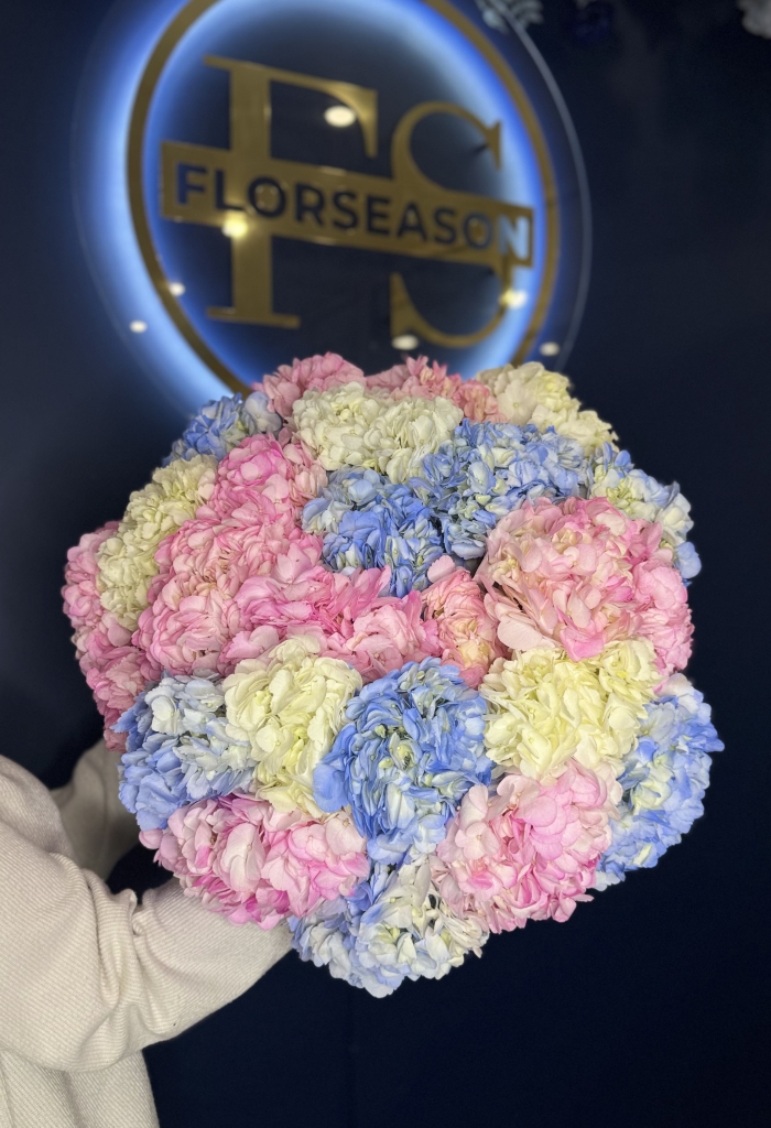 Монобукет из Гортензий Florseason