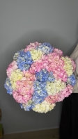 Монобукет из Гортензий Florseason