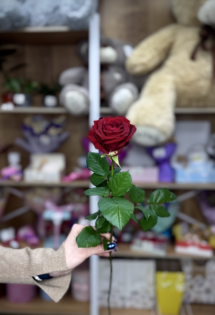 Роза 70см Florseason