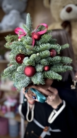 Новогодняя Ёлочка Florseason